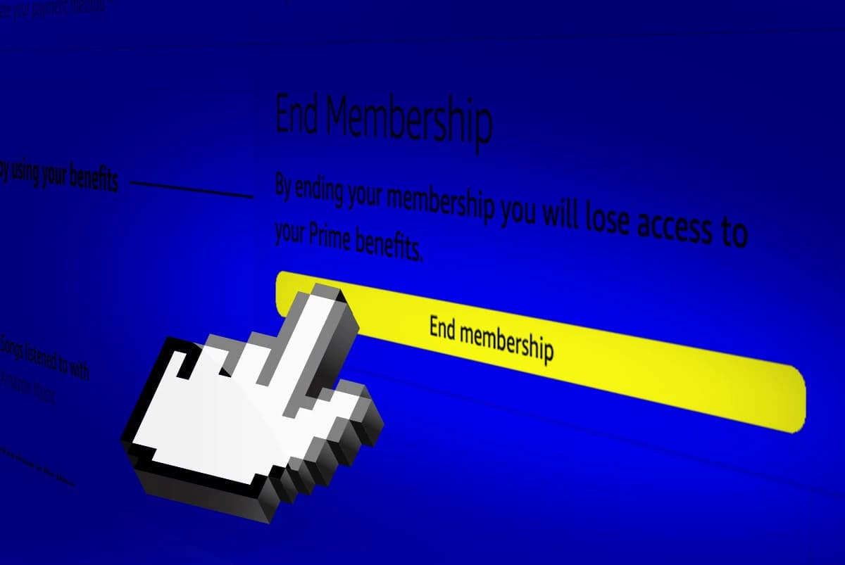 AFF_Subscriptions_Blog_Image2_1200x803__ScaleMaxWidthWzE2MDBd